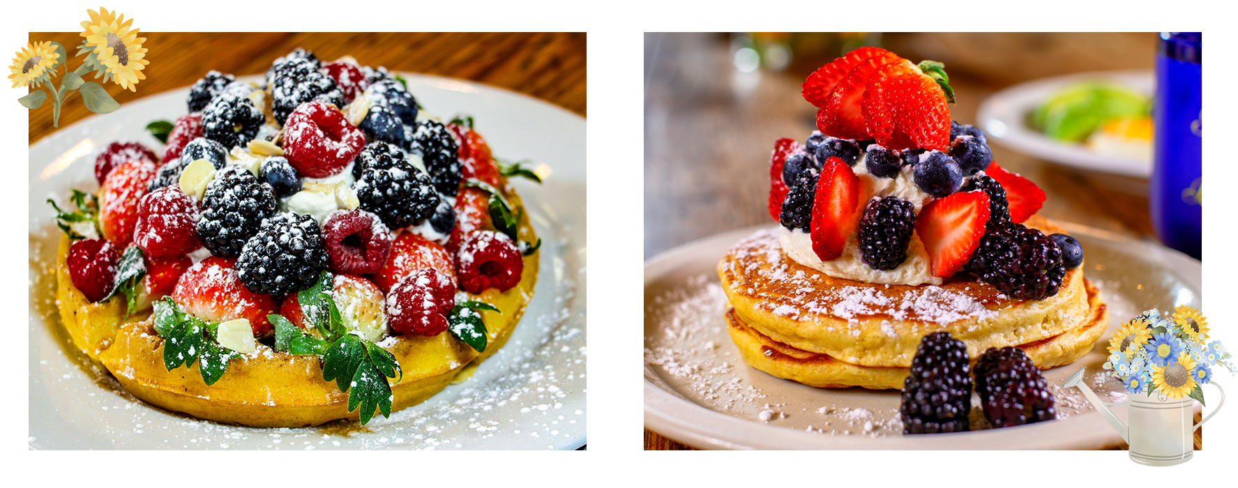 brunch-at-sunflower-pancakes-and-waffles Avocado Eggs Benedict at Sunflower Bakery and Cafe